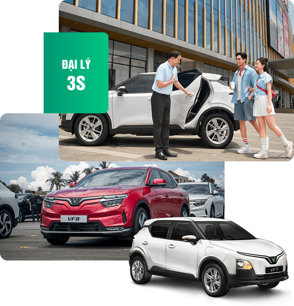 Vì Sao Bạn Nên Chọn GF Minh Đức?